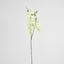 Wisteria Spray 1m White