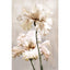 Floral Stem Wall Art A