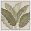 Palm Leaf Wall Art A