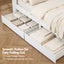 Queen Bed Frame with Storage Drawers White Platform Bedframe with Bookcase Headboard Charging Station Led Light