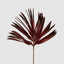 Ombre Fan Palm Leaf Stem Red