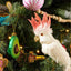 Galah Flying Bird Small White
