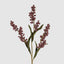 Asine Berry Branch Pink