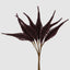 Biswa Corn Bundle Plum