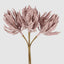 Grande Spike Stem Pink