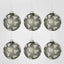 Tiffany Ginko Boxed Set of 6 Baubles