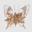 Aline Clip on Butterfly Gold