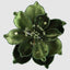 Lush Clip on Magnolia Green