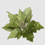 Velve Clip on Poinsettia Green