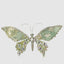 Madame Clip on Butterfly