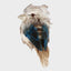 Kookaburra Small