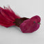Olsern Clip on Bird Dark Red (Set of 4)