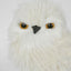 Pott's Owl SML