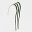 Amaranthus Stem Emerald Green