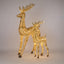 Vixen Light Up Reindeer