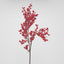 Berry Cluster Stem Red