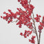 Berry Cluster Stem Red