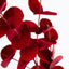 Luxe Velvet Eucalyptus Spray Red
