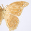 Opulence Velvet Butterfly Clip On