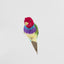 Red Headed Finch
