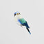 Little Kingfisher
