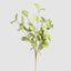 Eucalyptus Stem Green