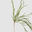 Hanging Willow Stem Green (Set of 12)