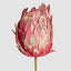 Glitter Edged Protea Flower Stem Red
