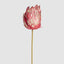 Glitter Edged Protea Flower Stem Red