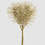 Glitter Fern Bunch Champagne
