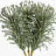 Glitter Fern Bunch Green