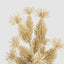 Glitter Corn Bunch Gold