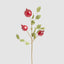 Pomegranate Stem Red
