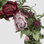 Mixed Native Protea Wreath Red 65cm