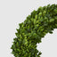 Preserved Boxwood Wreath 35cm