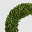 Preserved Boxwood Wreath 45cm