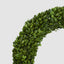 Preserved Boxwood Wreath 60cm