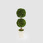 Preserved Boxwood Double Ball Topiary