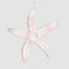 Queen Starfish Hanging Decoration