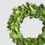 Preserved Boxwood Mini Wreath (Set of 4)