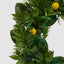 Lemon Wreath With Blueberry 70m