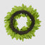 Fig Leaf Wreath With Fruit 65cm