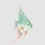 Angel Fish Decoration