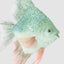 Angel Fish Decoration