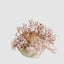 Larry Puffer Fish Hanging Decoration Medium