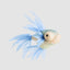 Amelie Fish Hanging Decoration