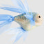 Amelie Fish Hanging Decoration