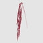 So Red! Amaranthus Spray