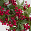Holly Verdant Leaf Wreath 75cm