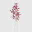 Gloss Berry Stem Red